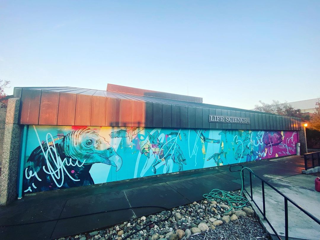 a mural by dylan tellesen on the life sciences building and fetauring multi color painted layers and wildlife such as salmon and vultures